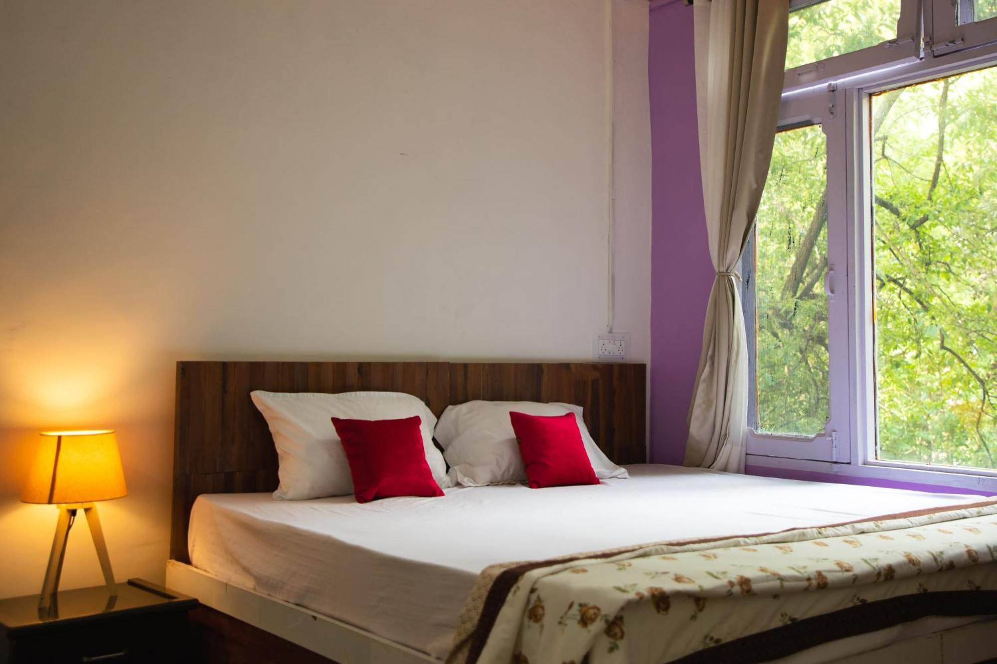 Mohija Homestay Kandaghat Exterior foto